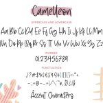 Camelleon6