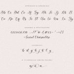 Angelinea Elegant Calligraphy Font6