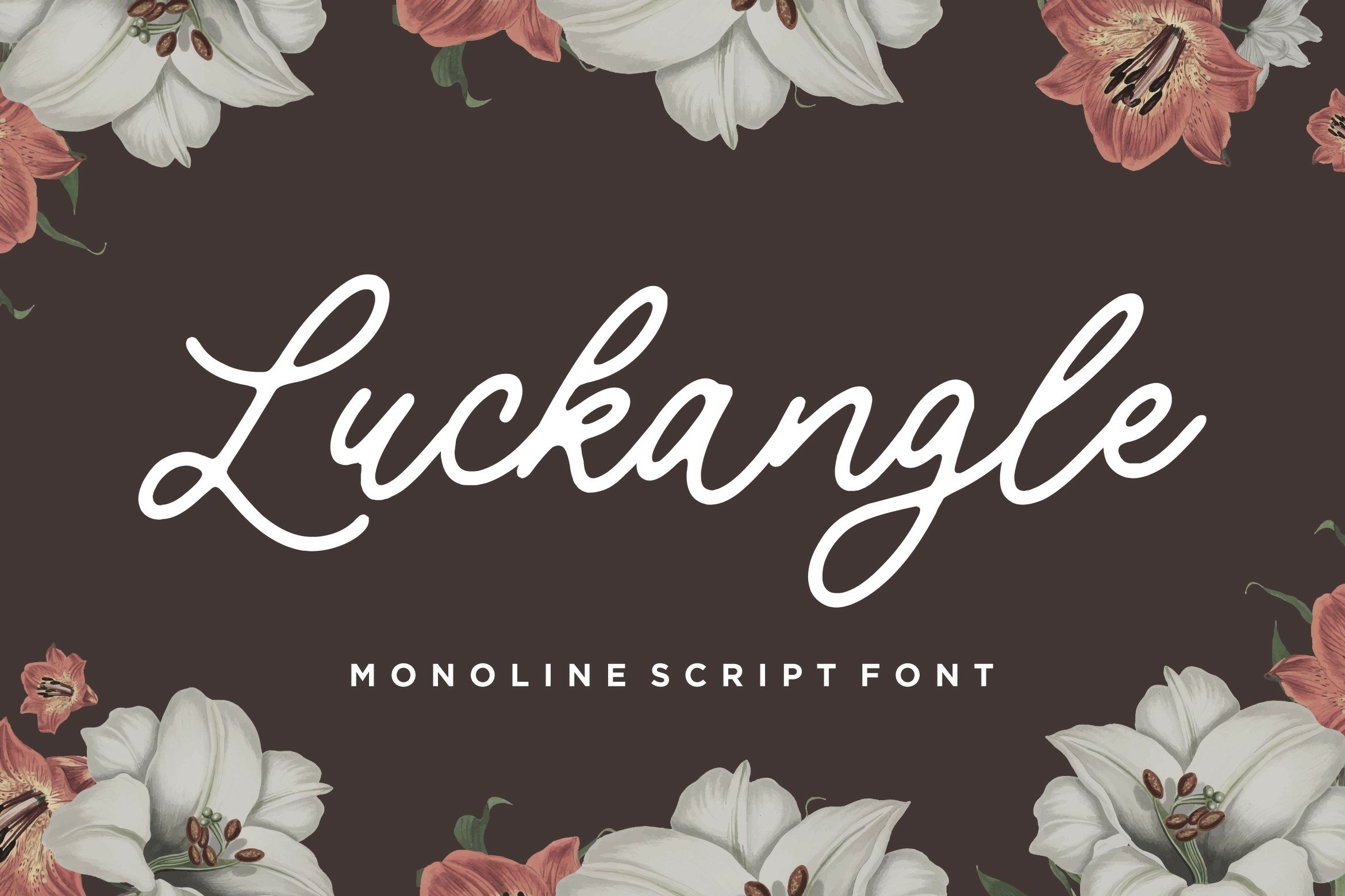 Luckangle Monoline Script Font1