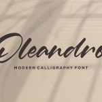 Oleandro Modern Calligraphy Font1