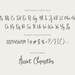 Stylist Garden Modern Handwritten Font6