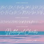 Tropical Harmony Modern Calligraphy Font6