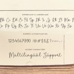 Brightwoods Modern Handwritten Font7