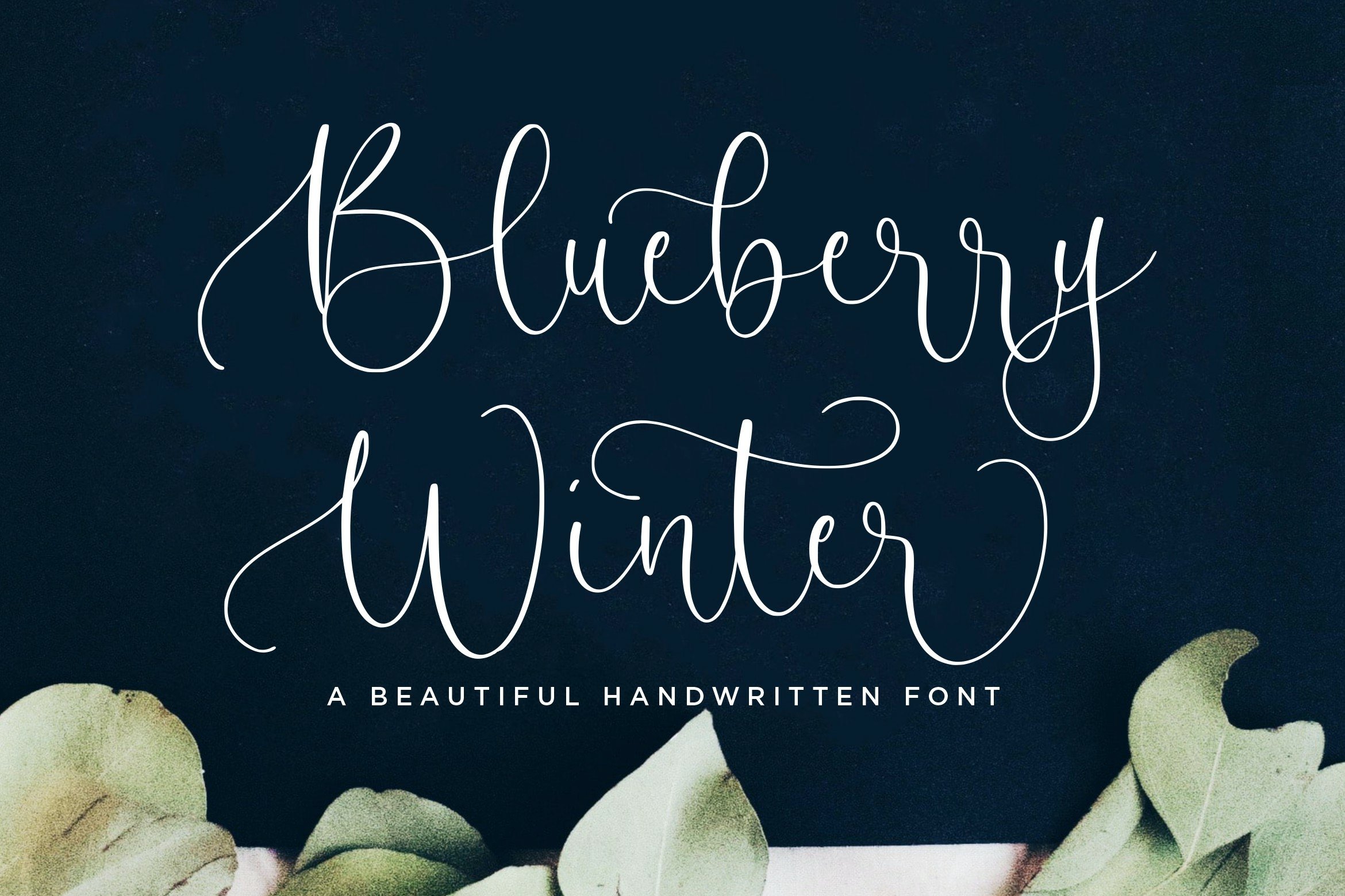 Blueberry Winter Beautiful Handwritten Font1